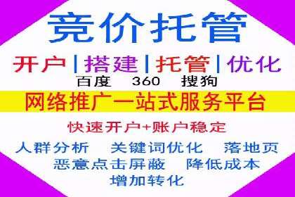SEM外包服务应用案例分析